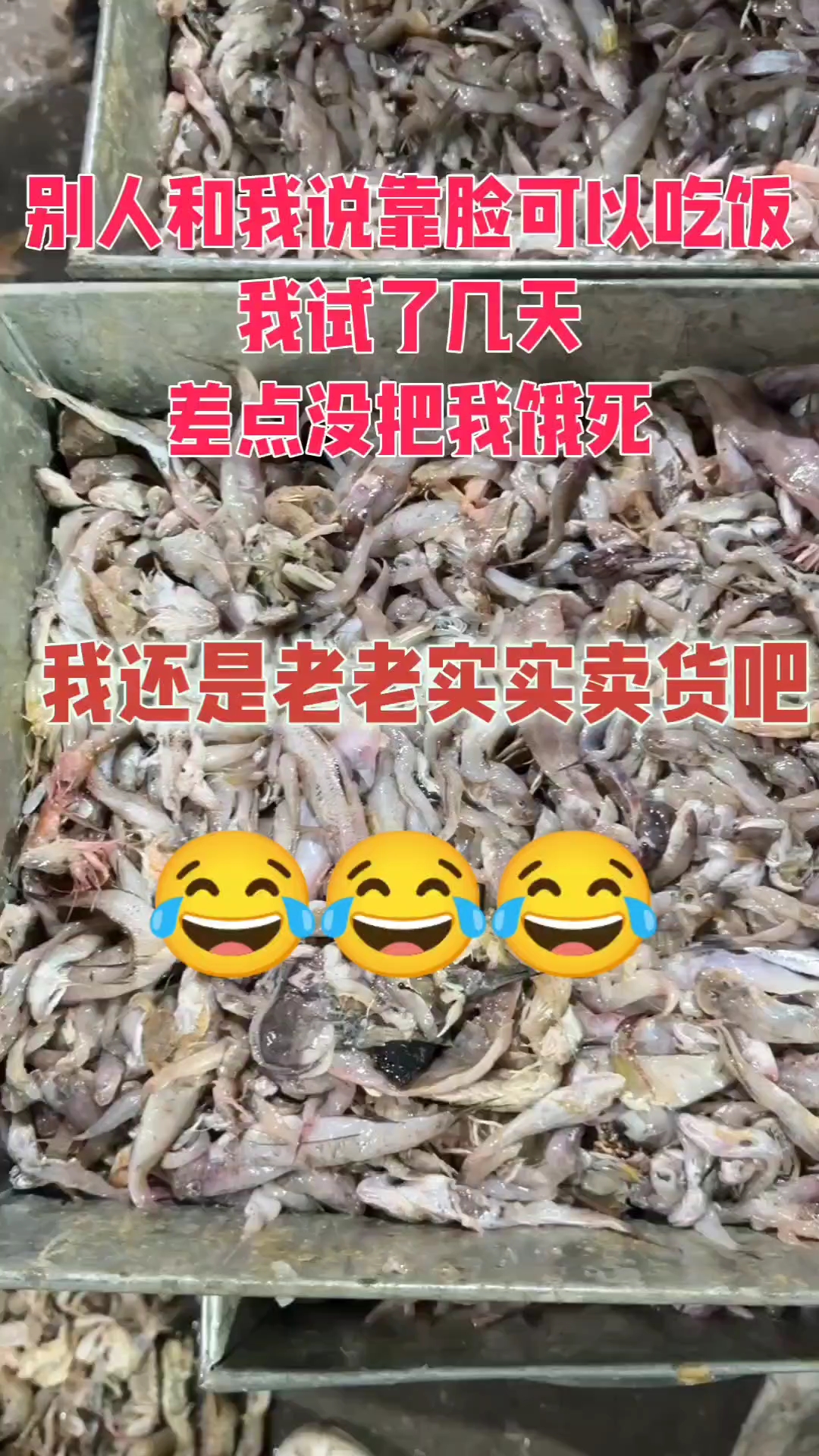 狗丁杂鱼,出水烂,旗鱼包各种饲料鱼都有#猫粮#狗粮#饲料鱼