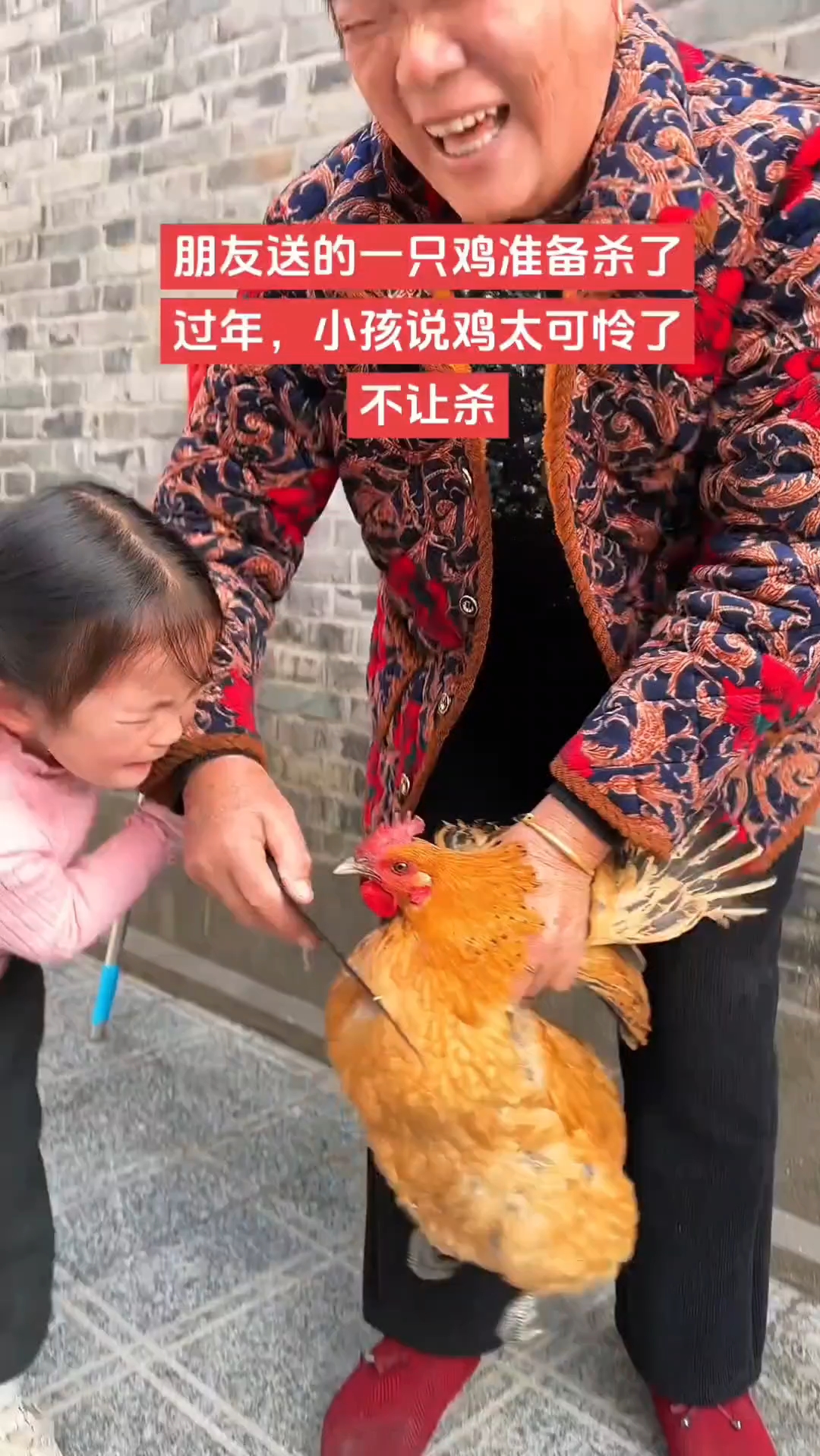 奶奶准备杀鸡过年，孙女哭的撕心裂肺，画面太感人
