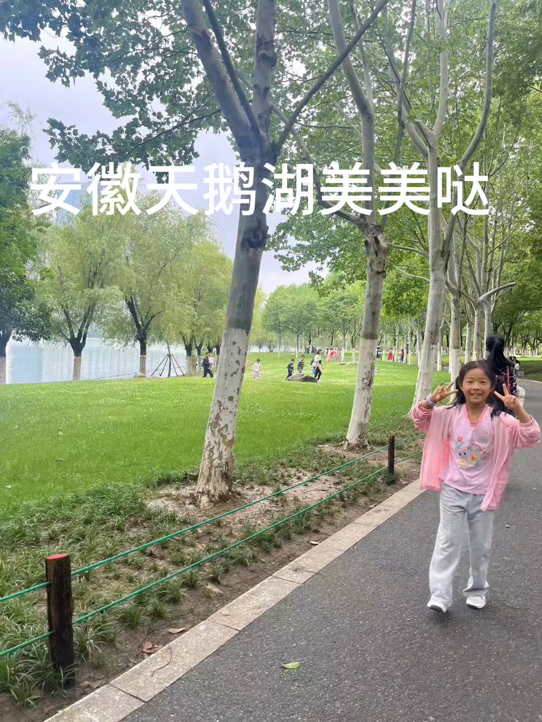 安徽合肥天鹅湖那边