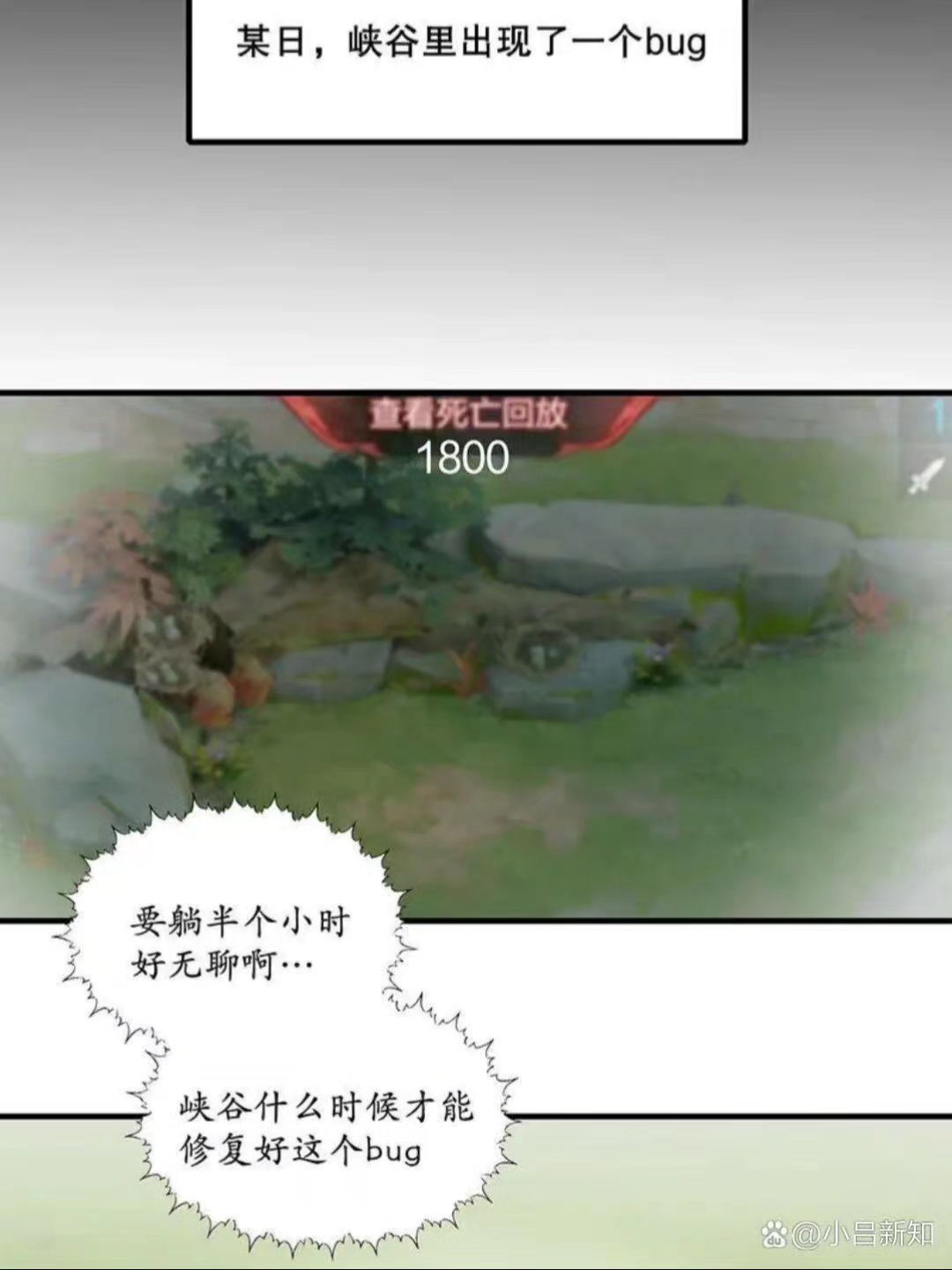 王者荣耀信白CP
