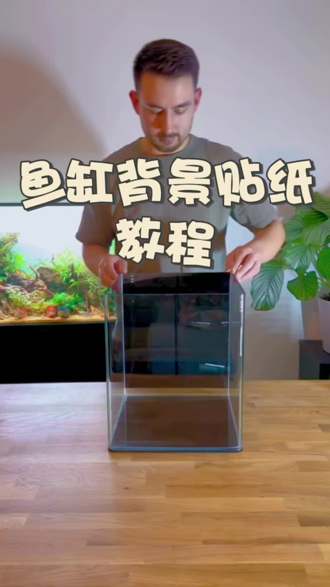 鱼缸背景贴纸教程,你学废了吗