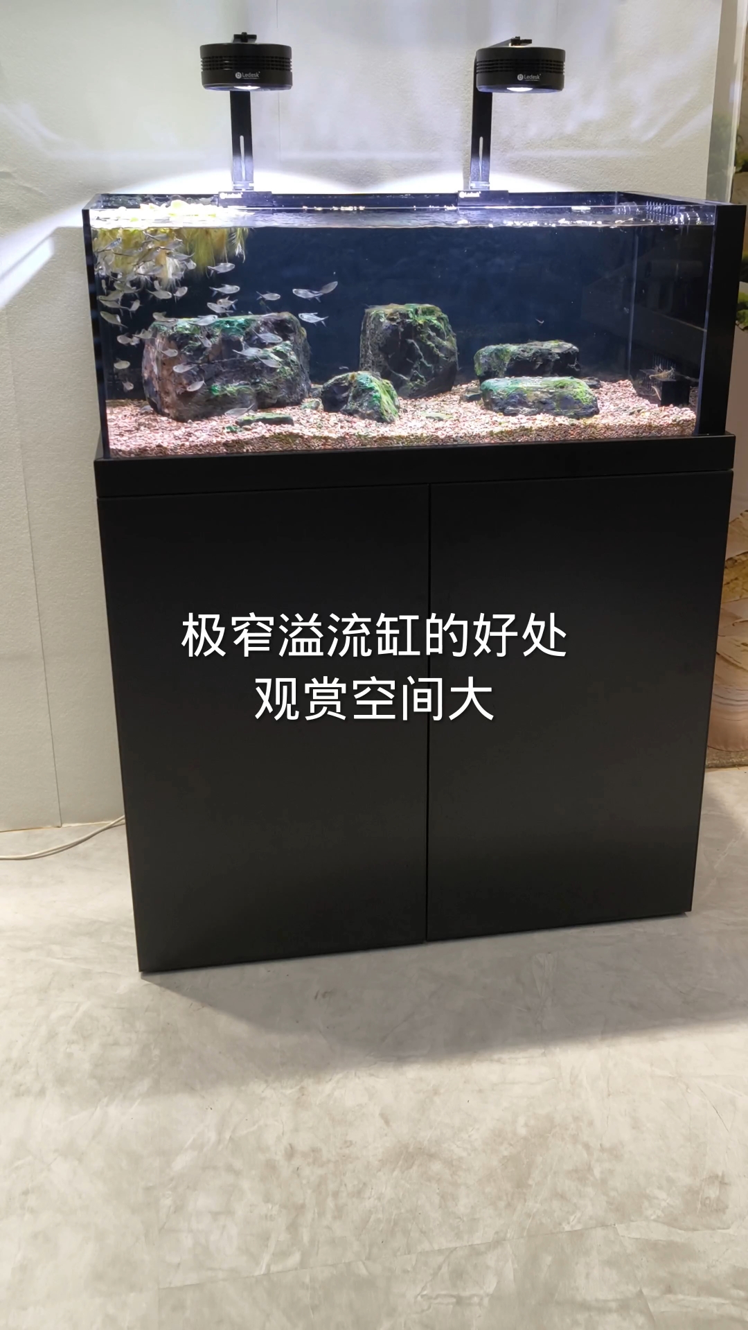 极窄溢流轻奢款鱼缸,618的活动。福利多多。#鱼缸 #水族 