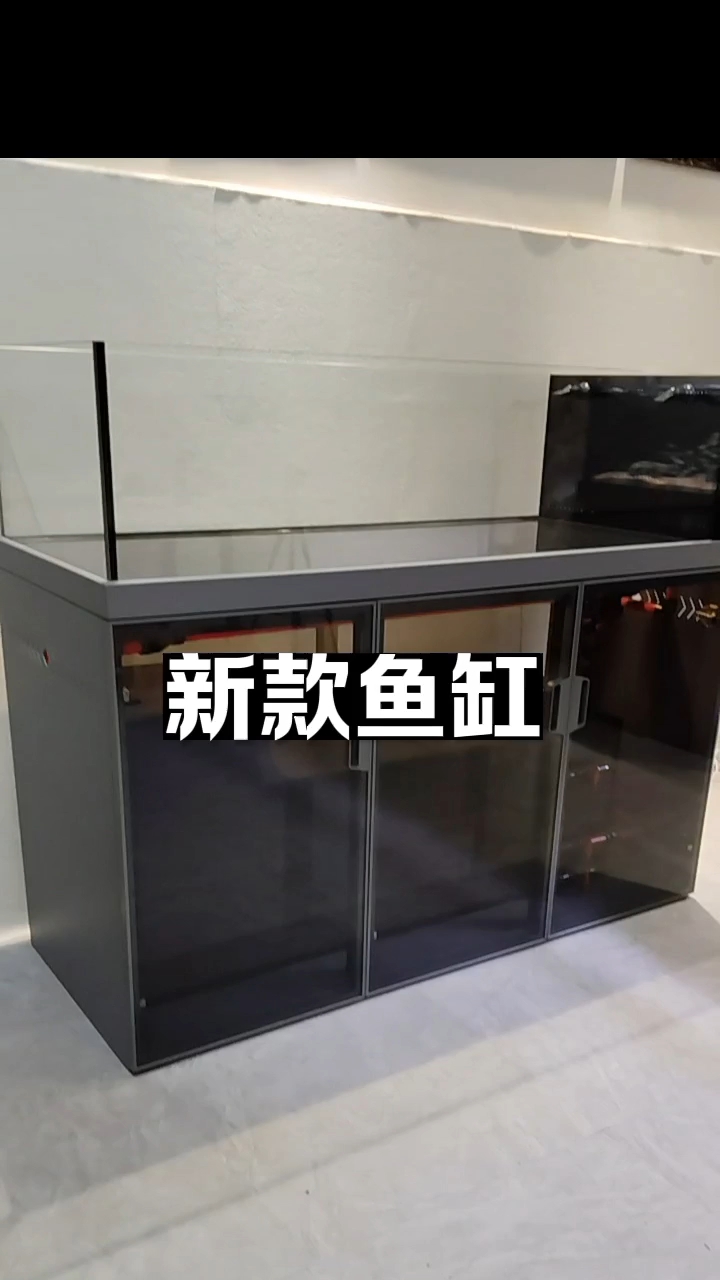 新款鱼缸,有多种尺寸。#鱼缸 #水族 #溪流缸 #空气缸 