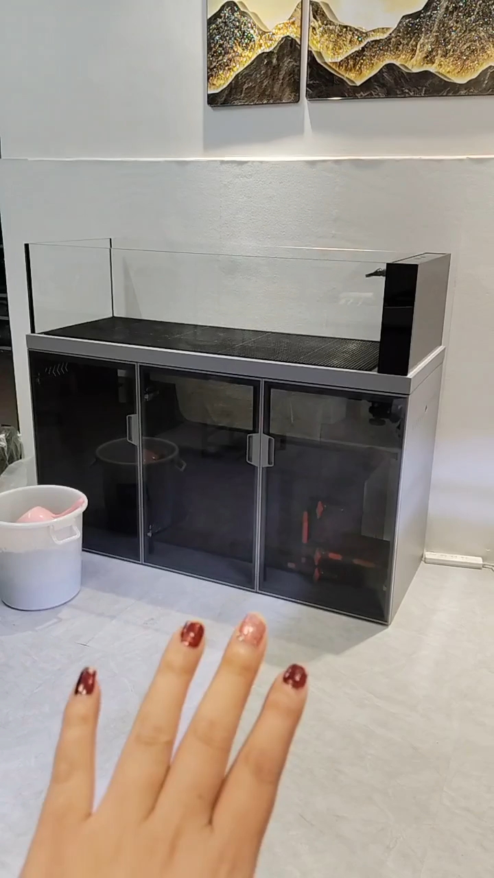 最新款的鱼缸#鱼缸 #水族 #超白缸 #原生缸 
