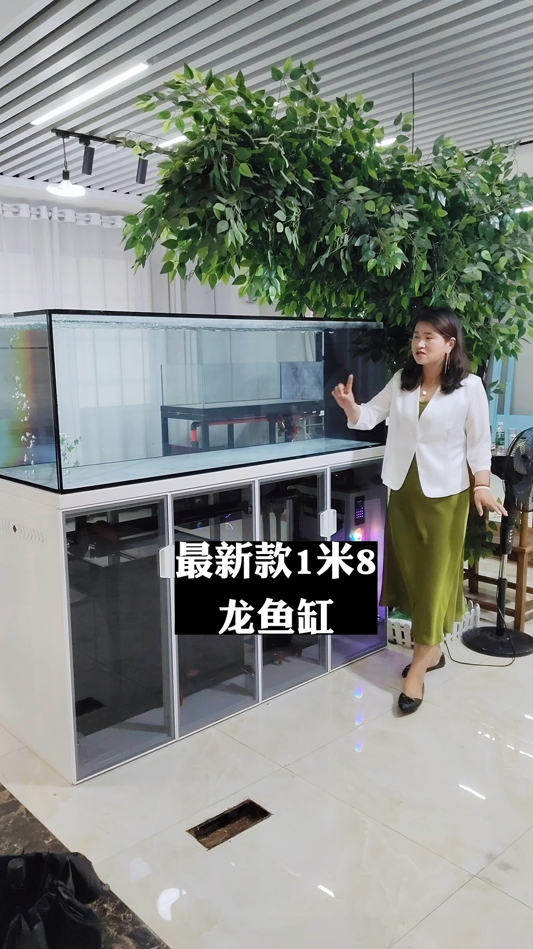 最新款的龙鱼缸,多种尺寸选择 #鱼缸#水族 #龙鱼缸 #吉罗