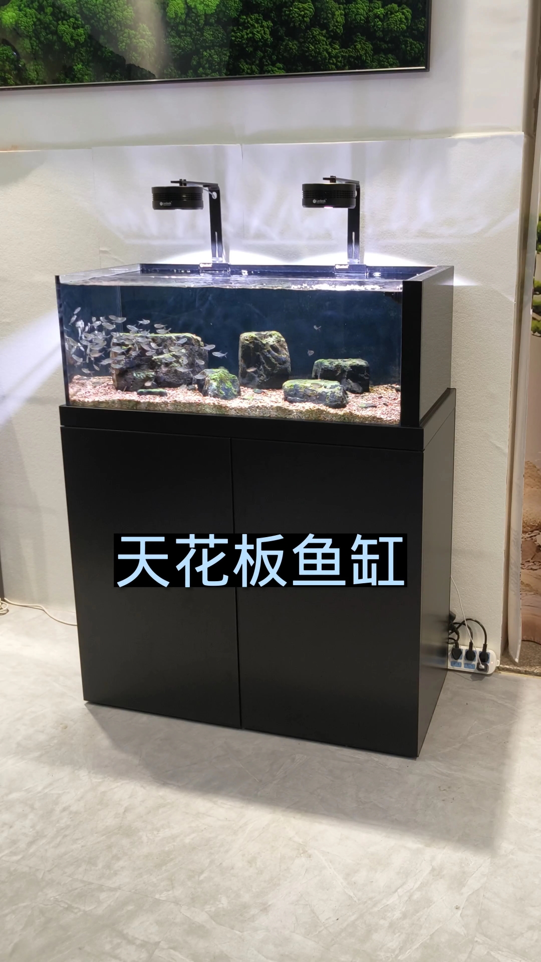 鱼缸选来选去还是这一款好。#鱼缸 #水族 #溪流缸 #超白缸