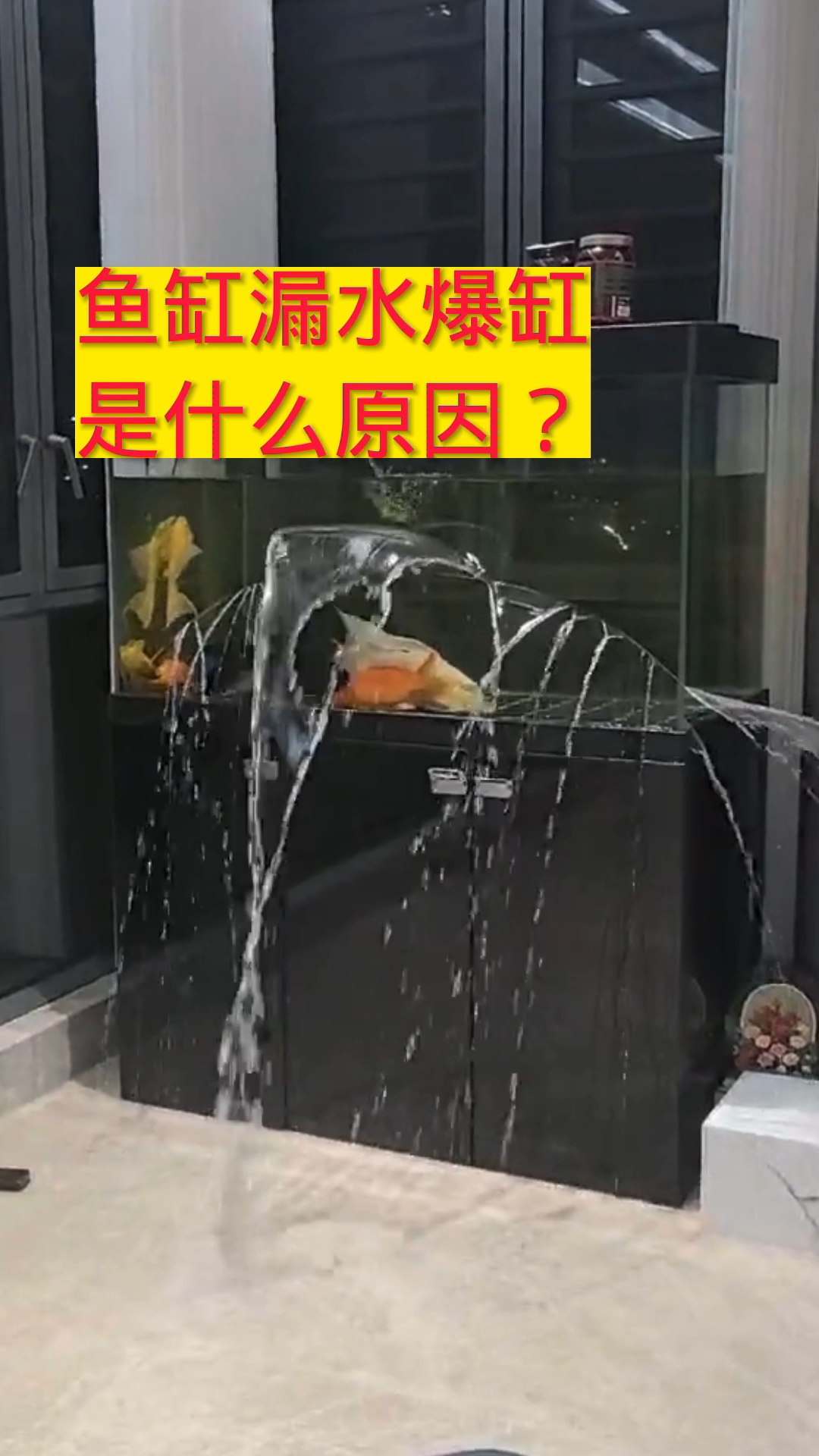 鱼缸漏水爆缸是什么原因?