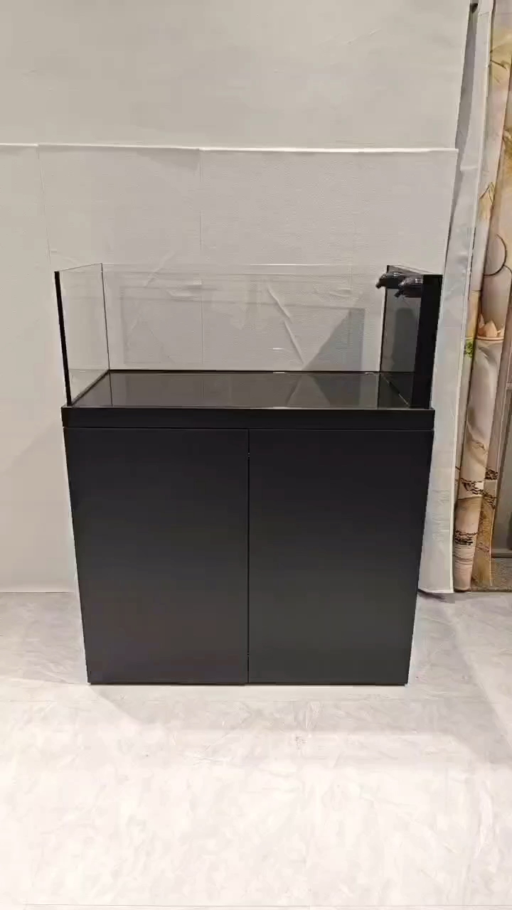 鱼缸怎么选?鱼缸怎么购买?#水族#溪流缸#观赏鱼#原生造景