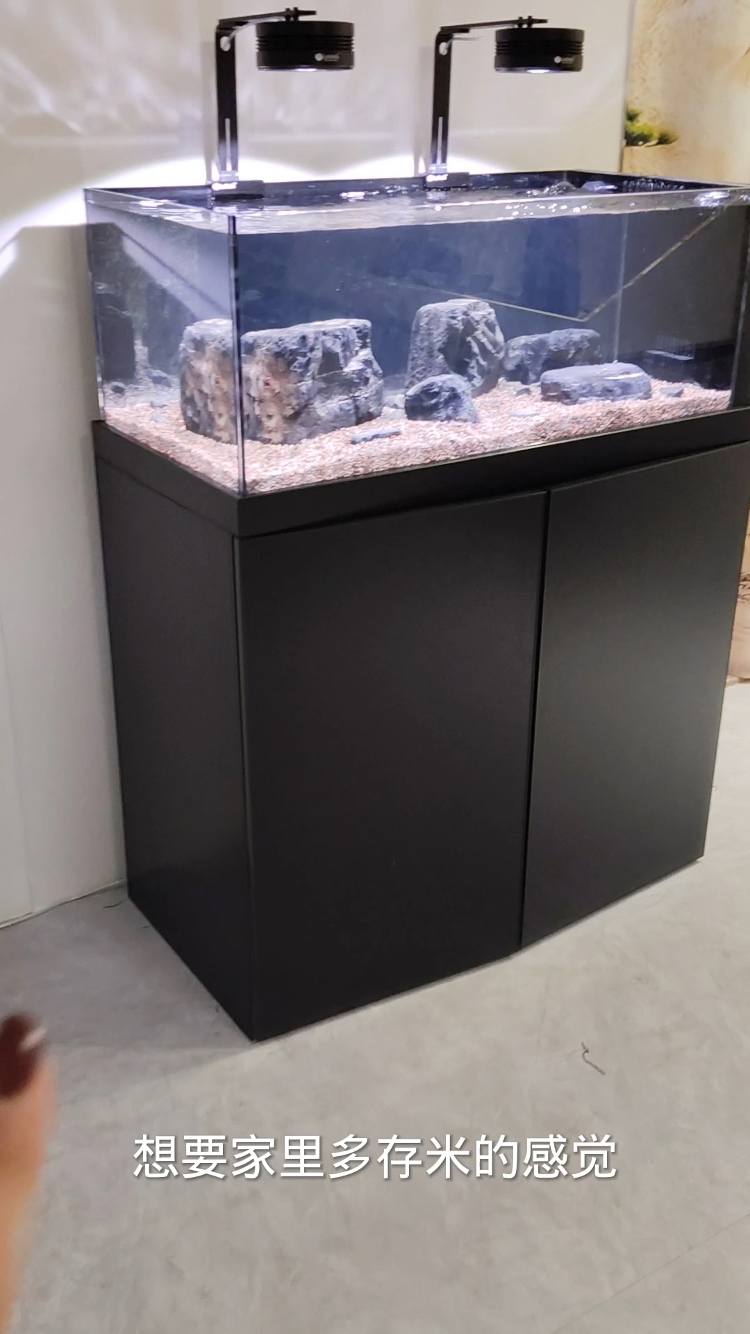 一米鱼缸,溪流缸#鱼缸 #水族 #养鱼 #溪流缸