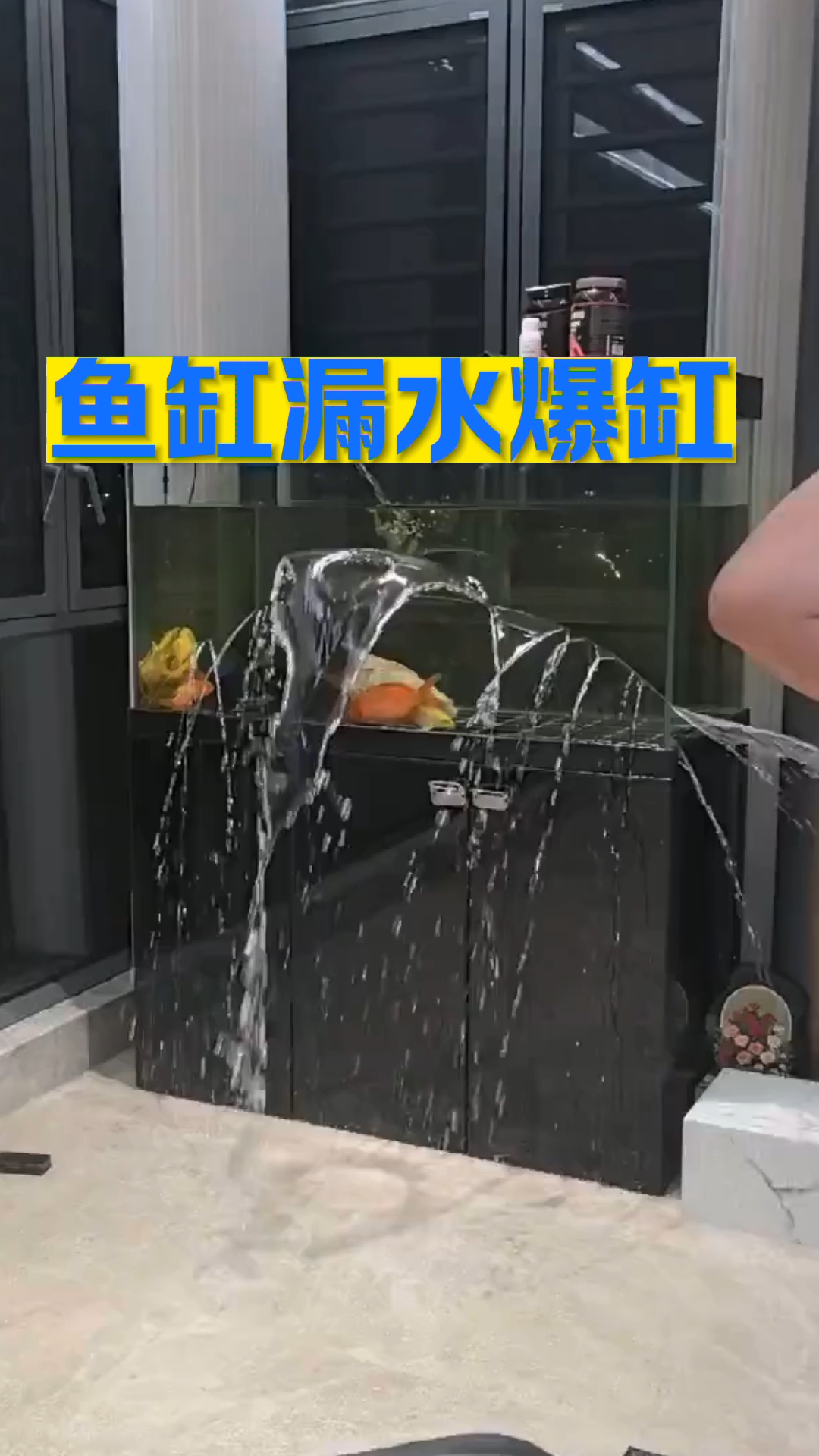 鱼缸漏水,爆缸,是什么原因导致的?#溪流缸 #鱼缸 #水族 
