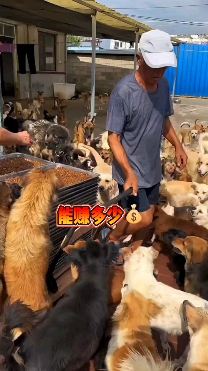 养殖不分地区 不分季节全国各地都可以