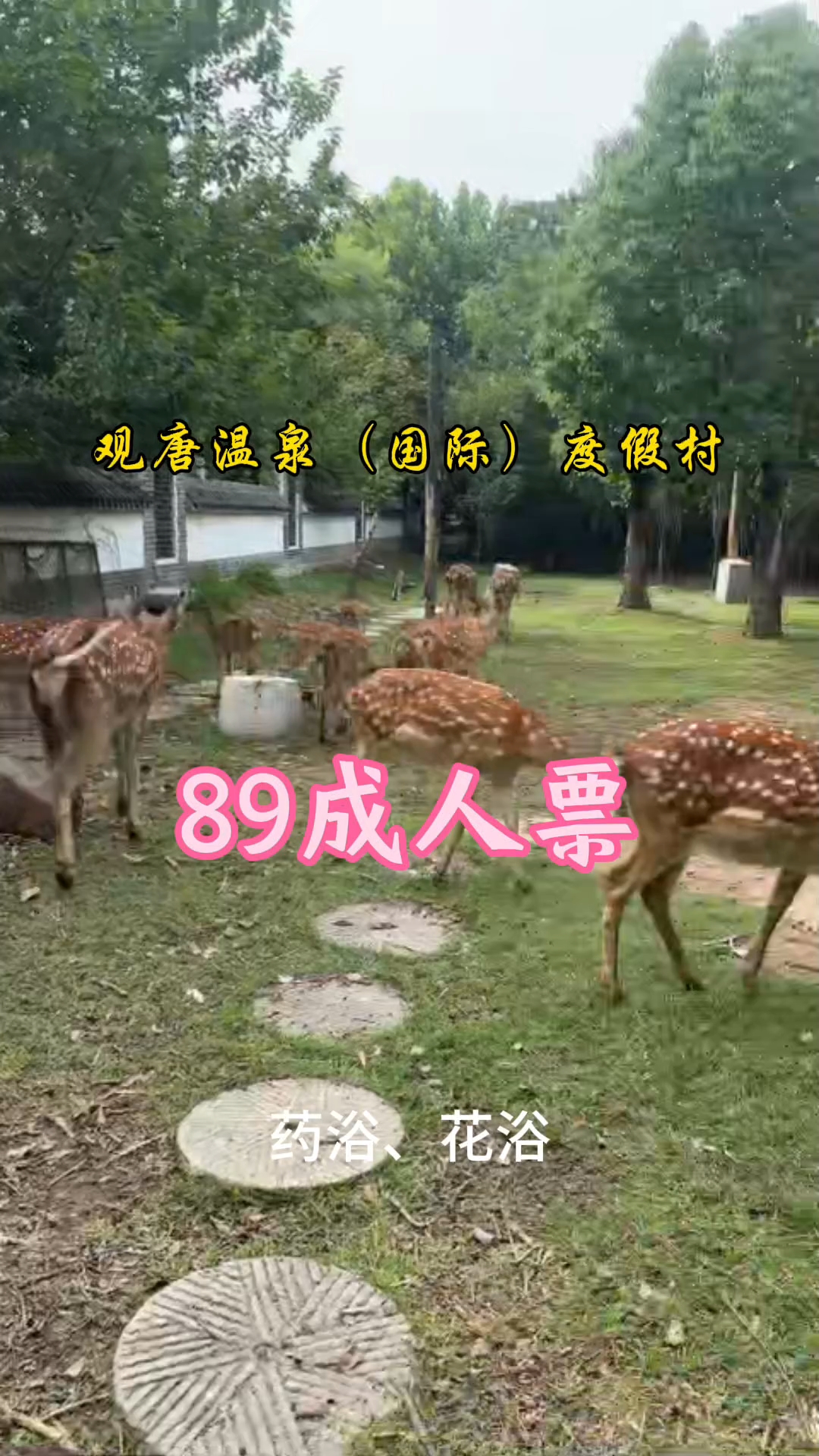 分享视频