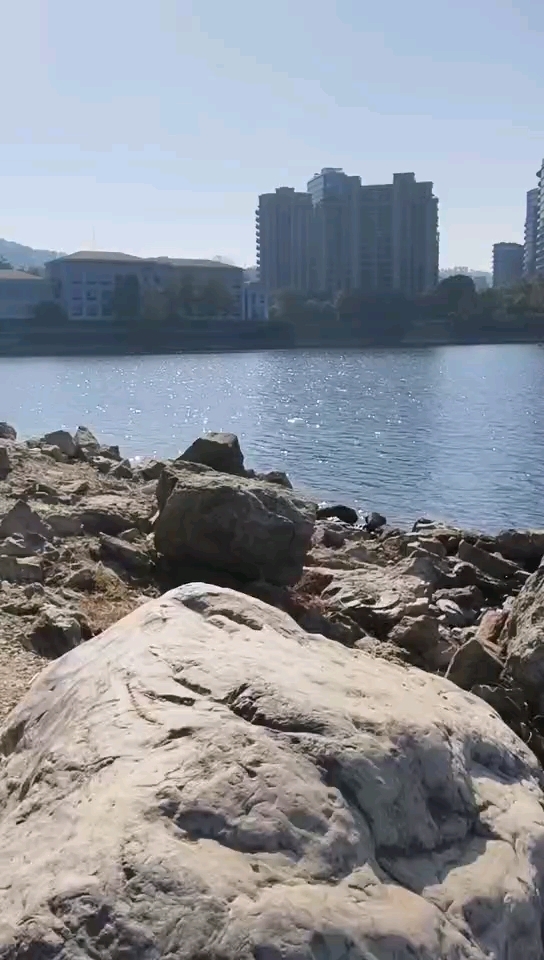 放生泥鳅红珠鱼胖头鱼。。。