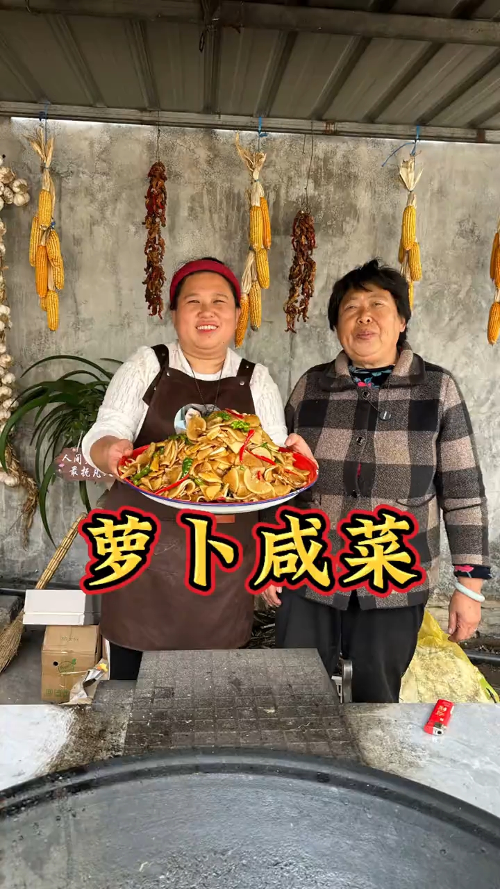 倪萍今天挖萝卜做咸菜