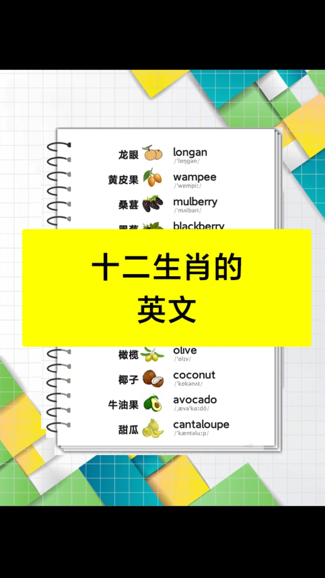 十二生肖的英文单词,你必须要掌握