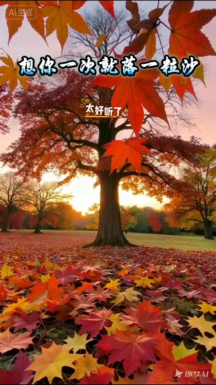秋天的枫叶