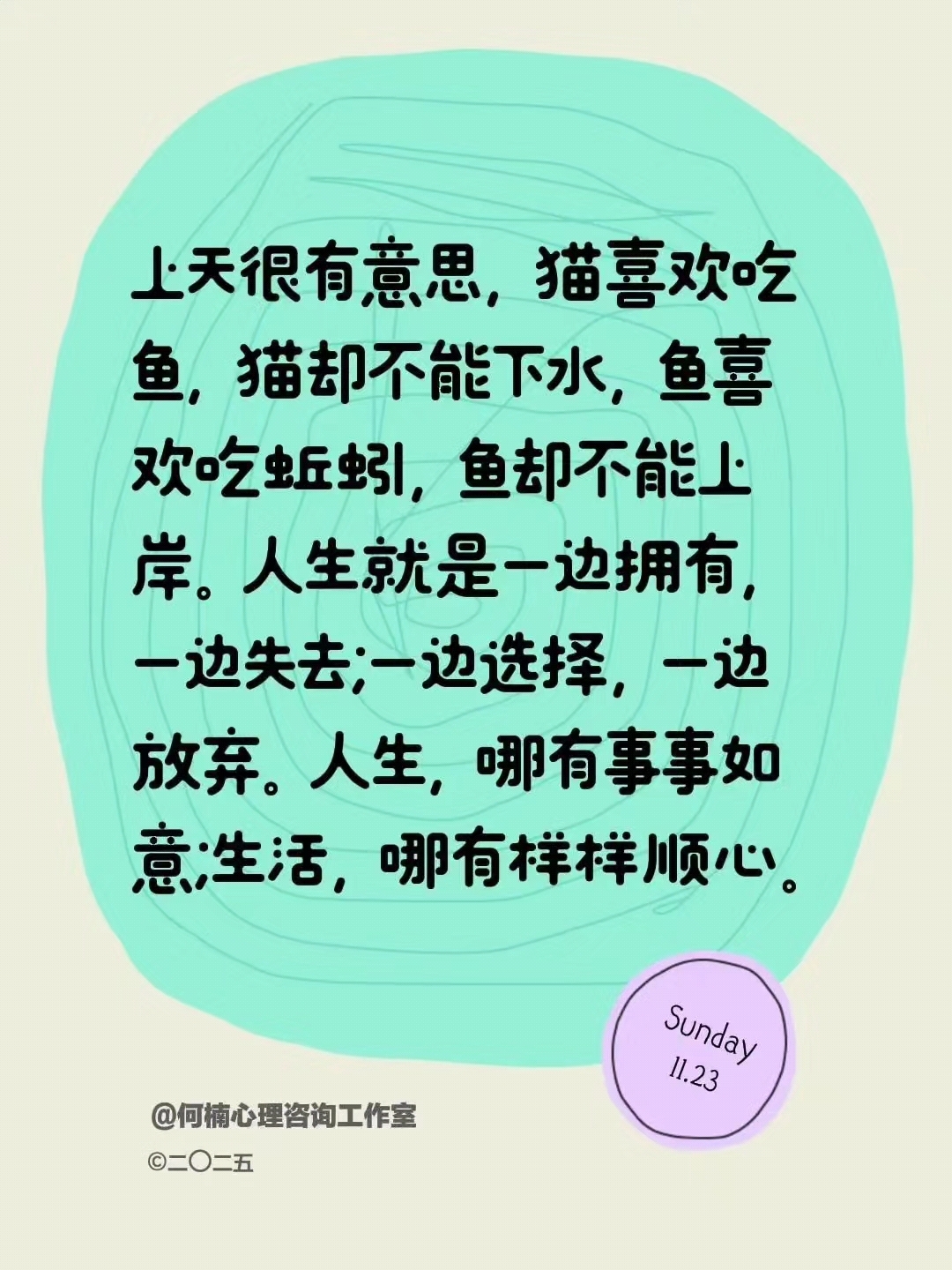 生活就像猫和鱼,选择与放弃的智慧