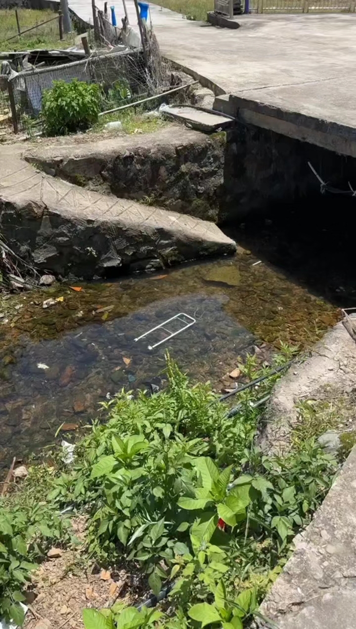 老家的原生鱼,小时候的回忆!