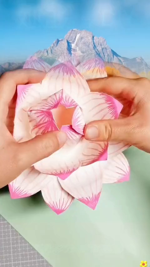 不用的生日蛋糕盘还有这功用?做成漂亮的莲花