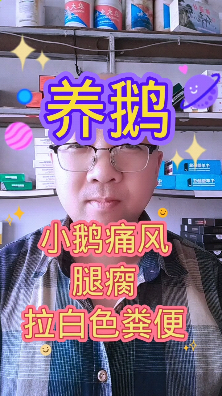养鹅小鹅痛风