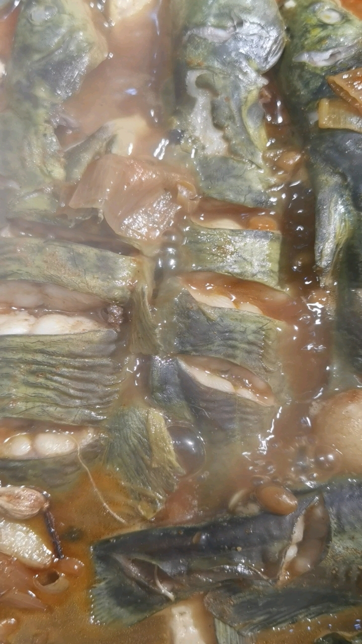 红烧戈雅鱼豫东风味