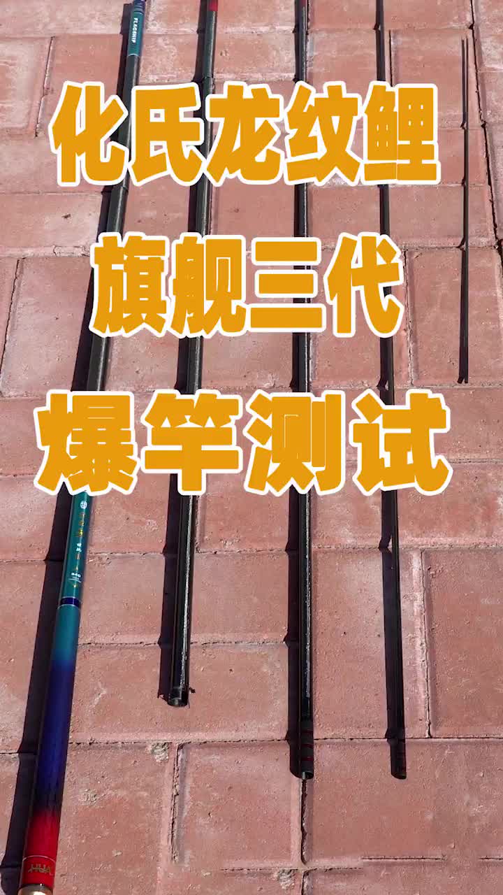 龙纹鲤旗舰三代钓重测试