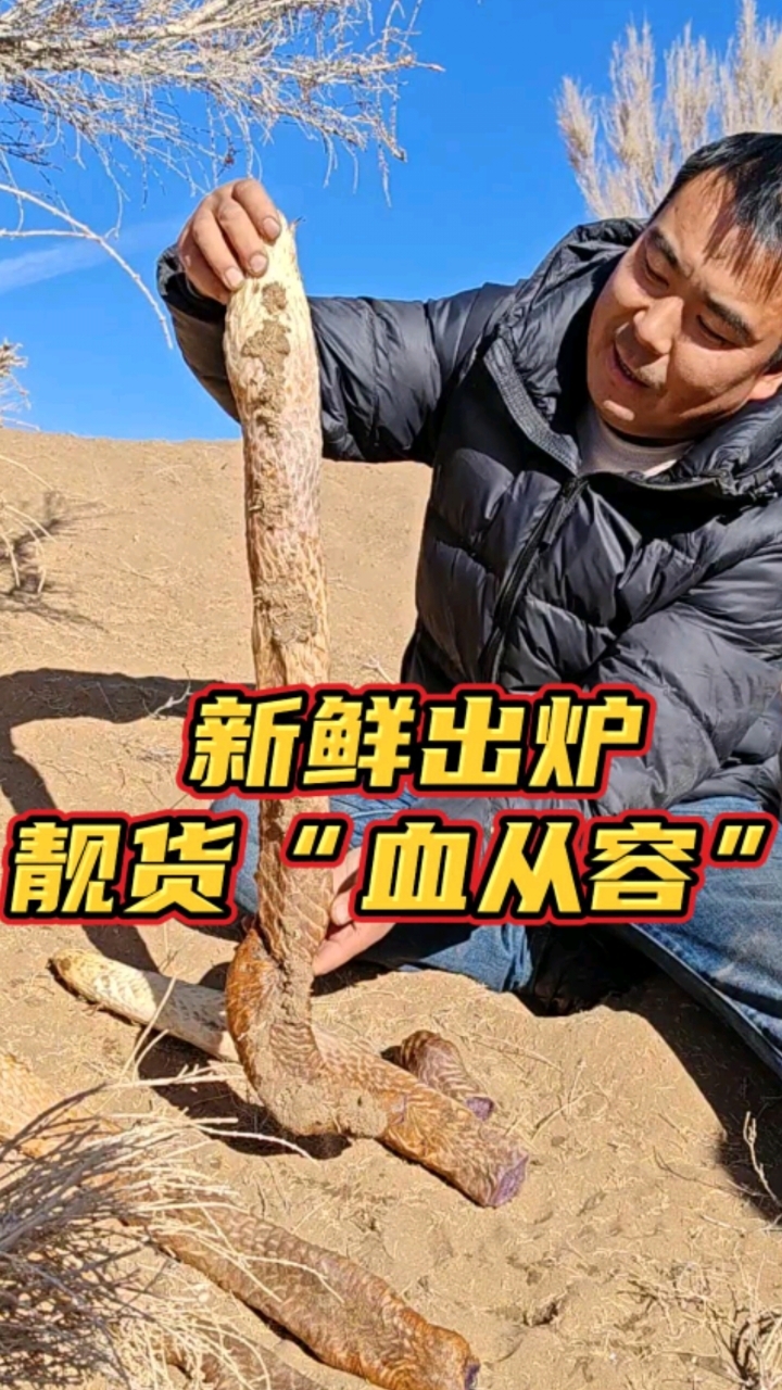 三九天沙漠肉苁蓉颜色和别的都不一样
