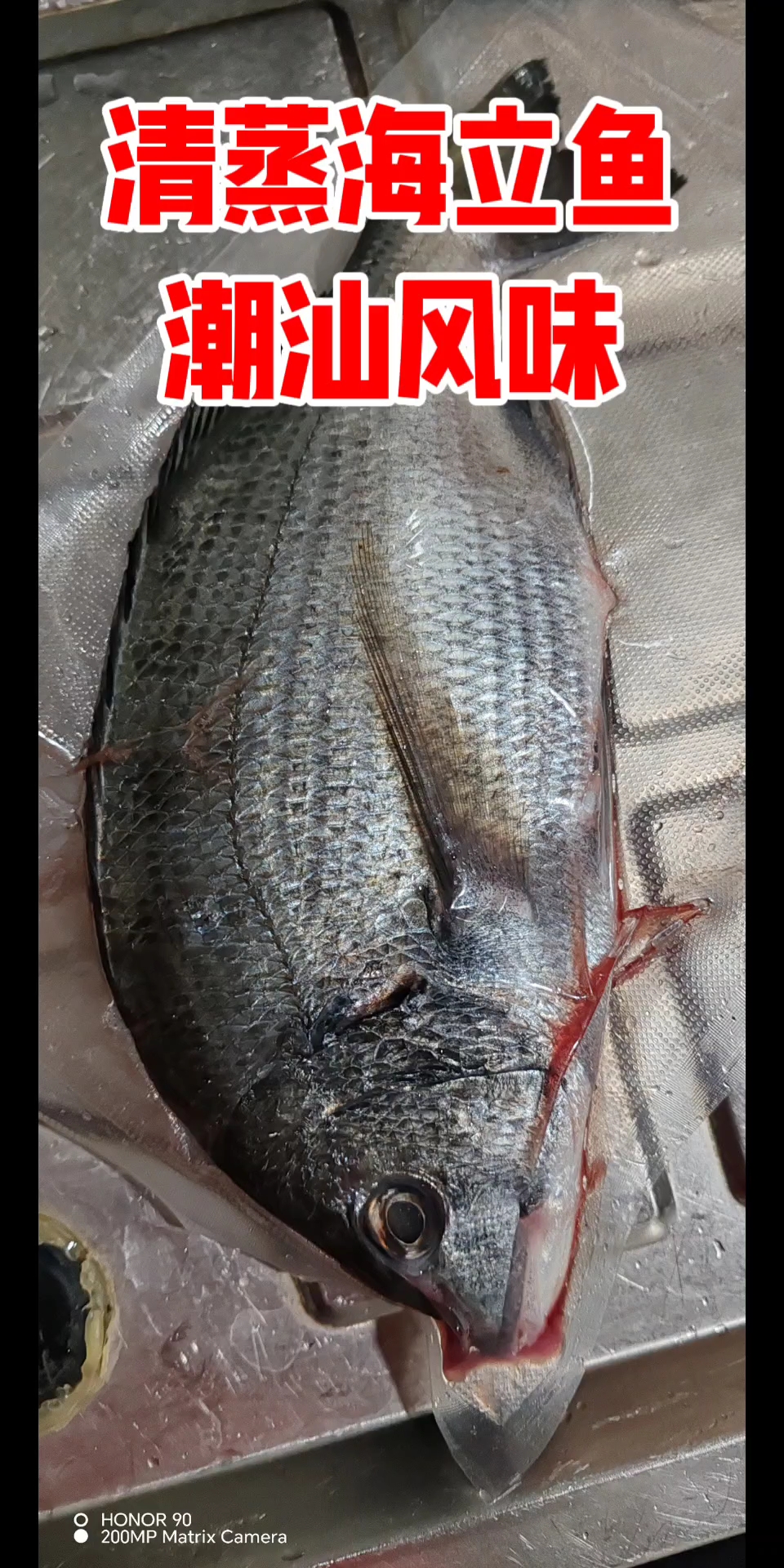 Hello，大家晚上好！现在分享一下。清蒸海立鱼。