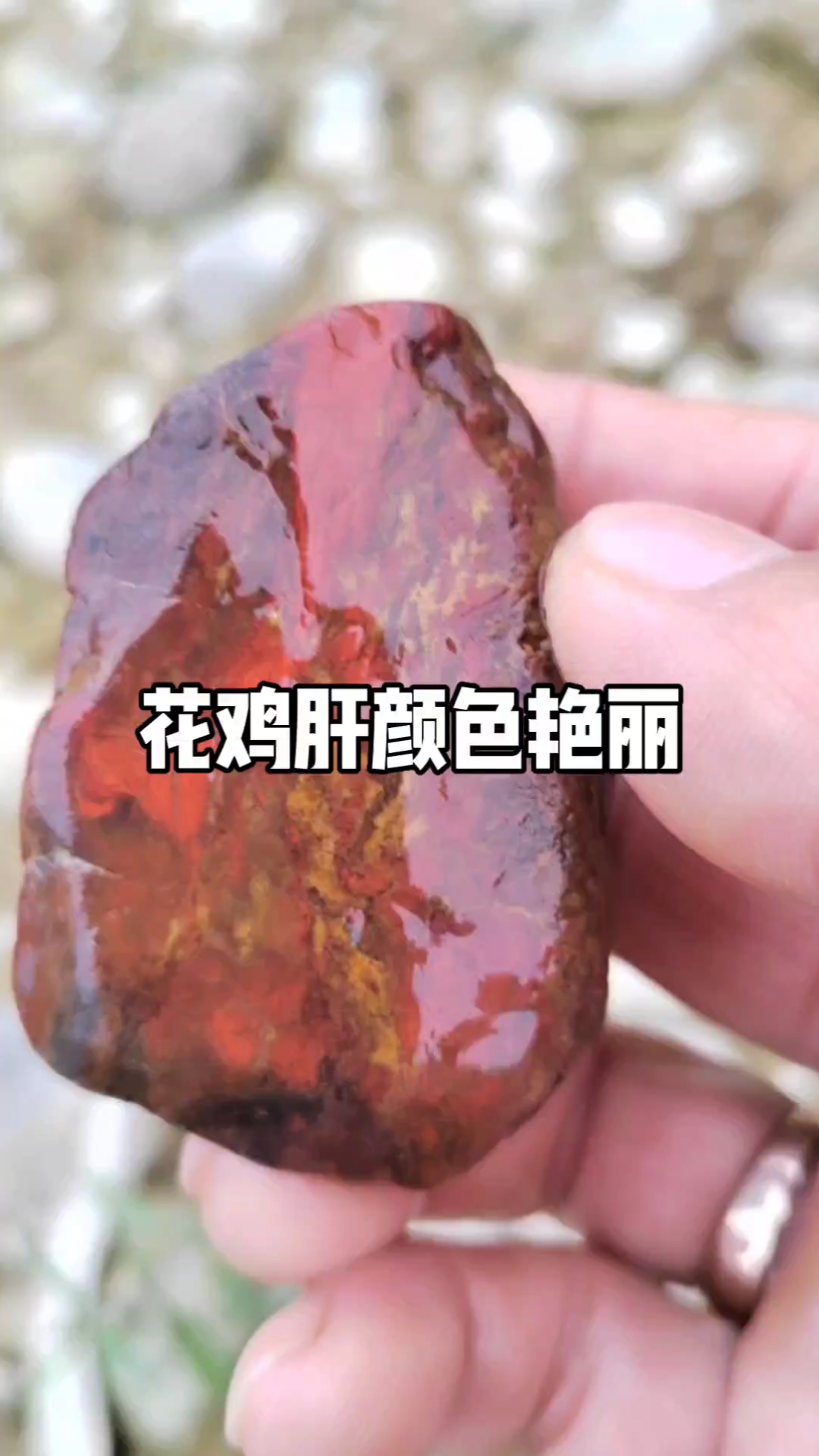 花鸡肝石颜色艳丽亮亮
