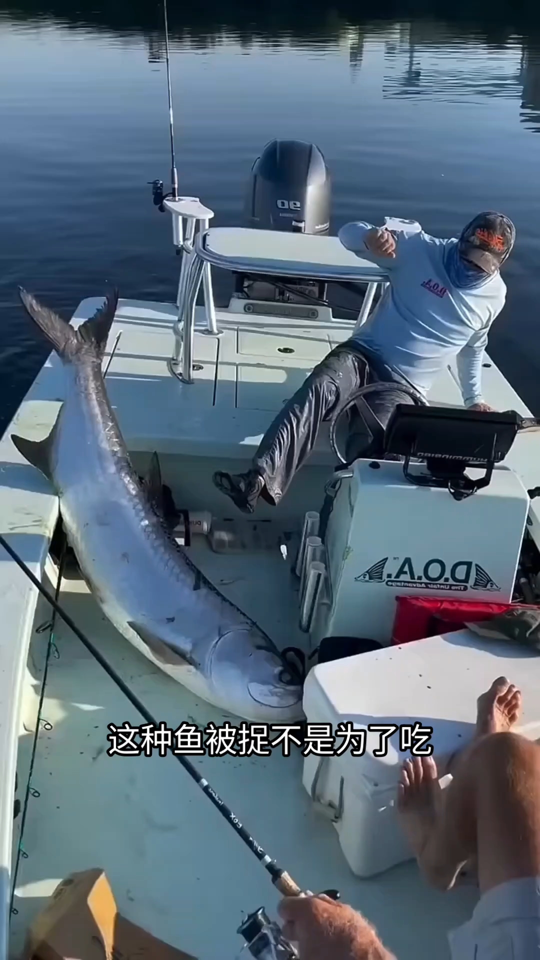 海鲢鱼的鳞片