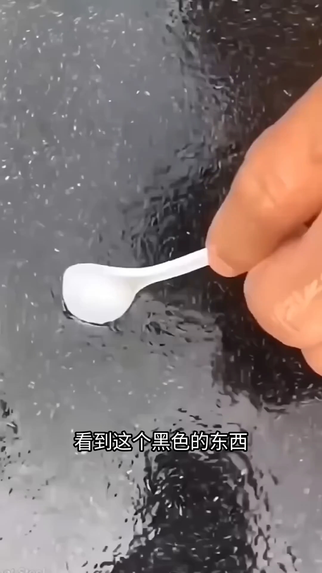 鲶鱼苗