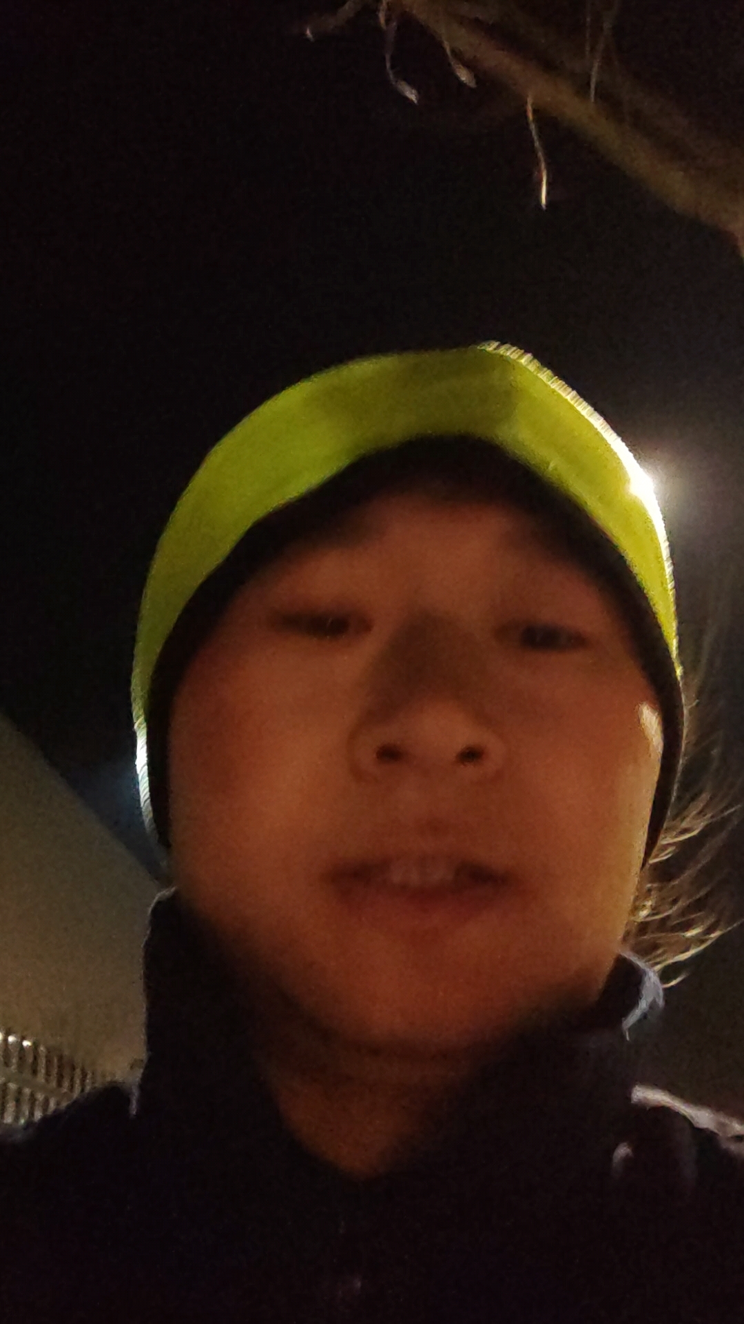 大母鸡，小母鸡，母鸡母鸡老母鸡