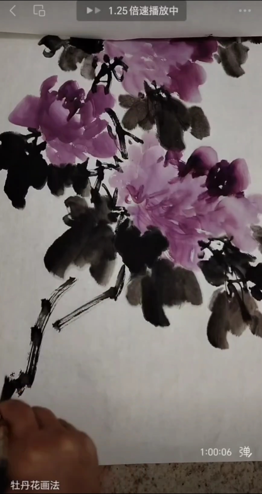 大写意牡丹花