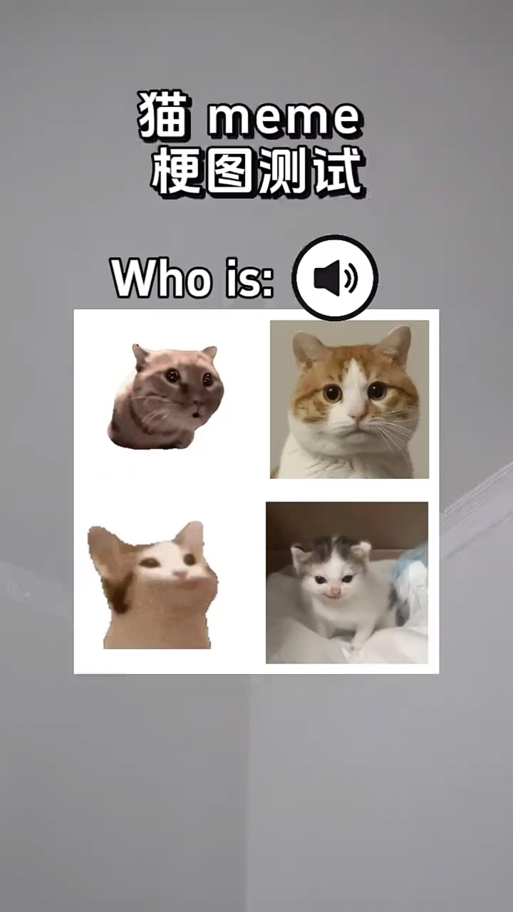 猫猫表情包,你认识几个呢?