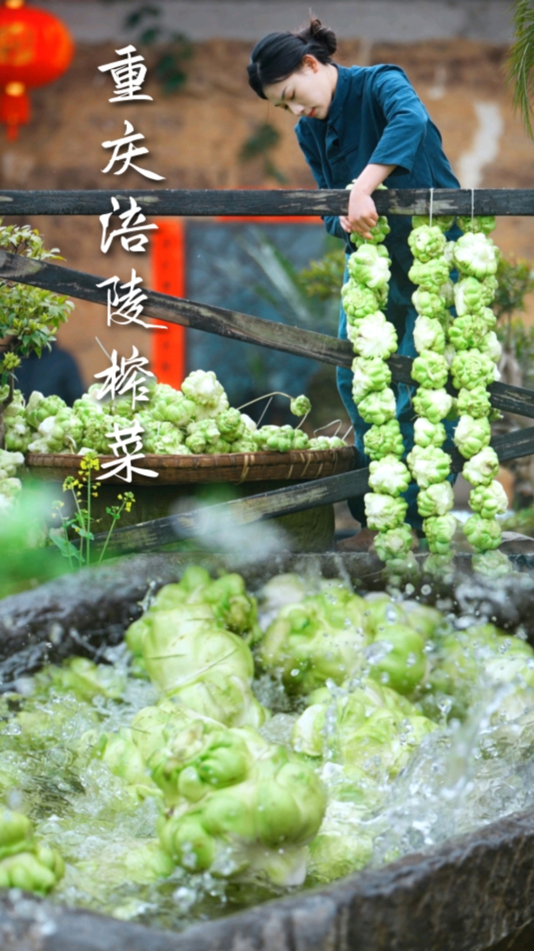 知道涪陵榨菜是怎么制作的吗?