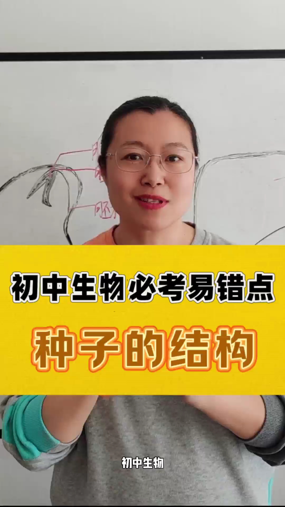一个视频搞定初中生物菜豆种子结构