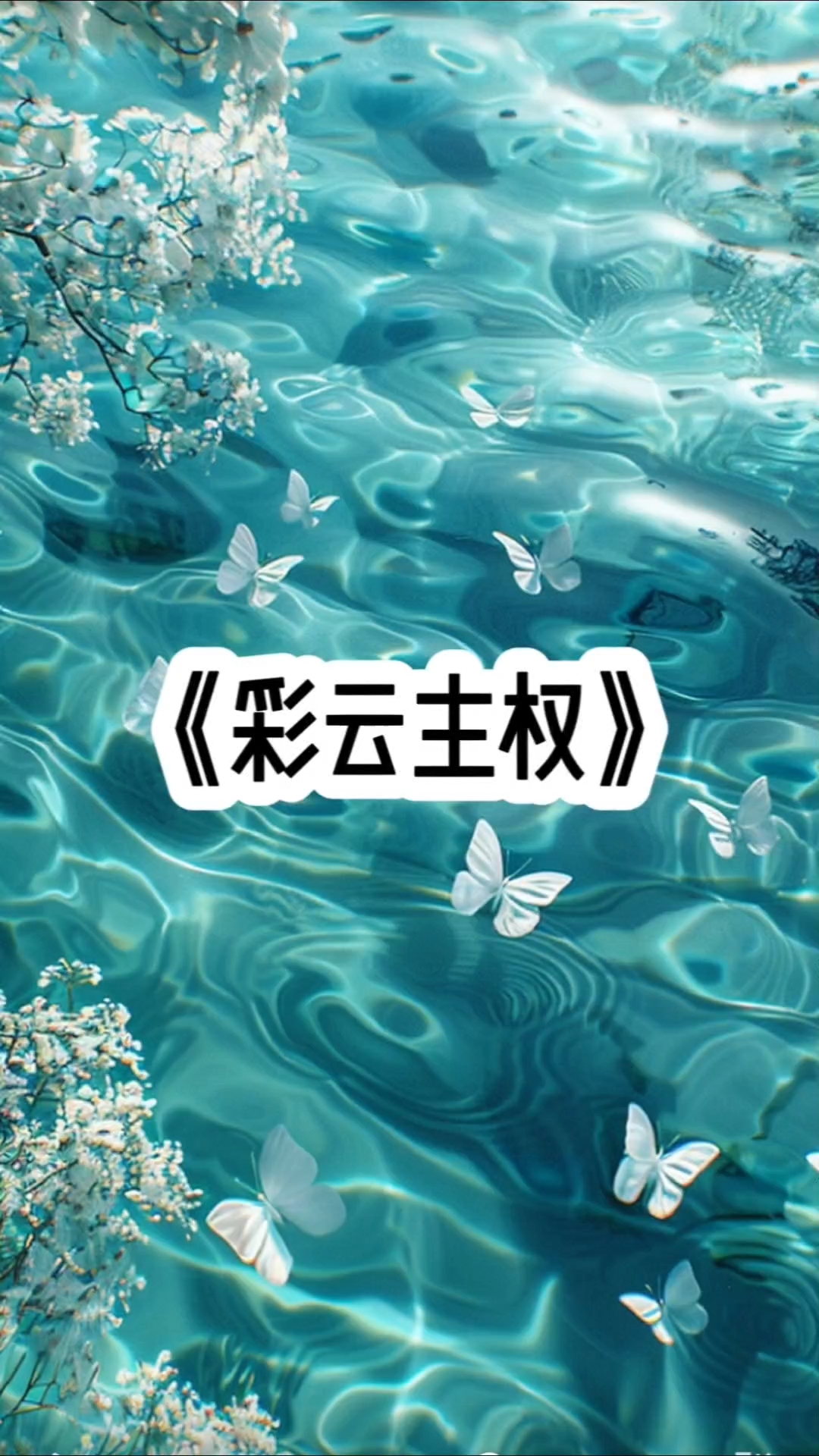 《彩云主权》番茄免费小说