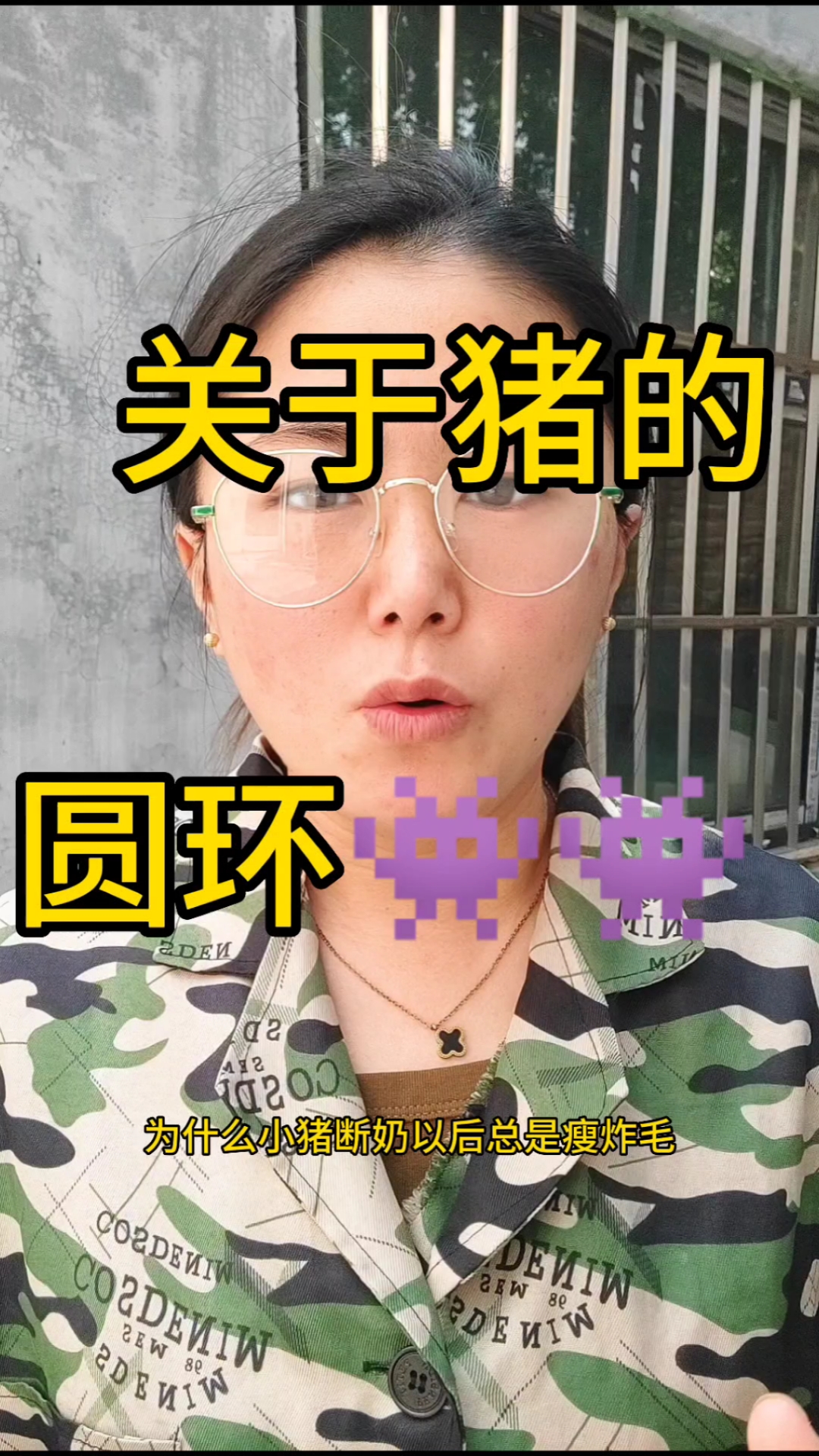关于猪的圆环病毒