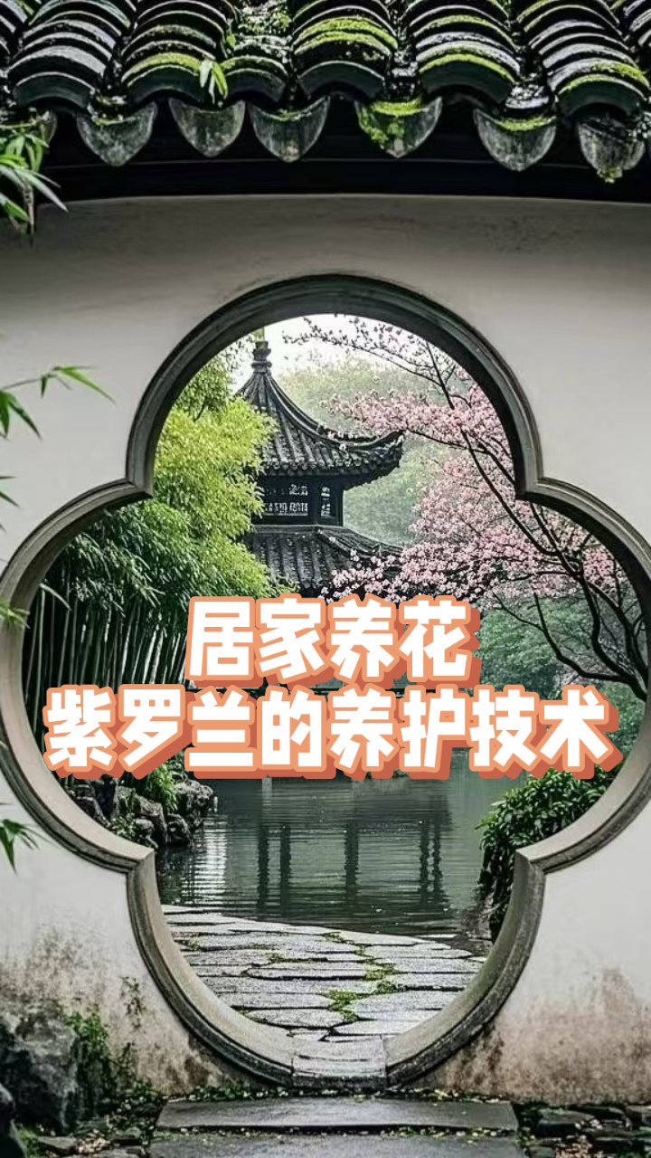 紫罗兰养护5大核心技巧