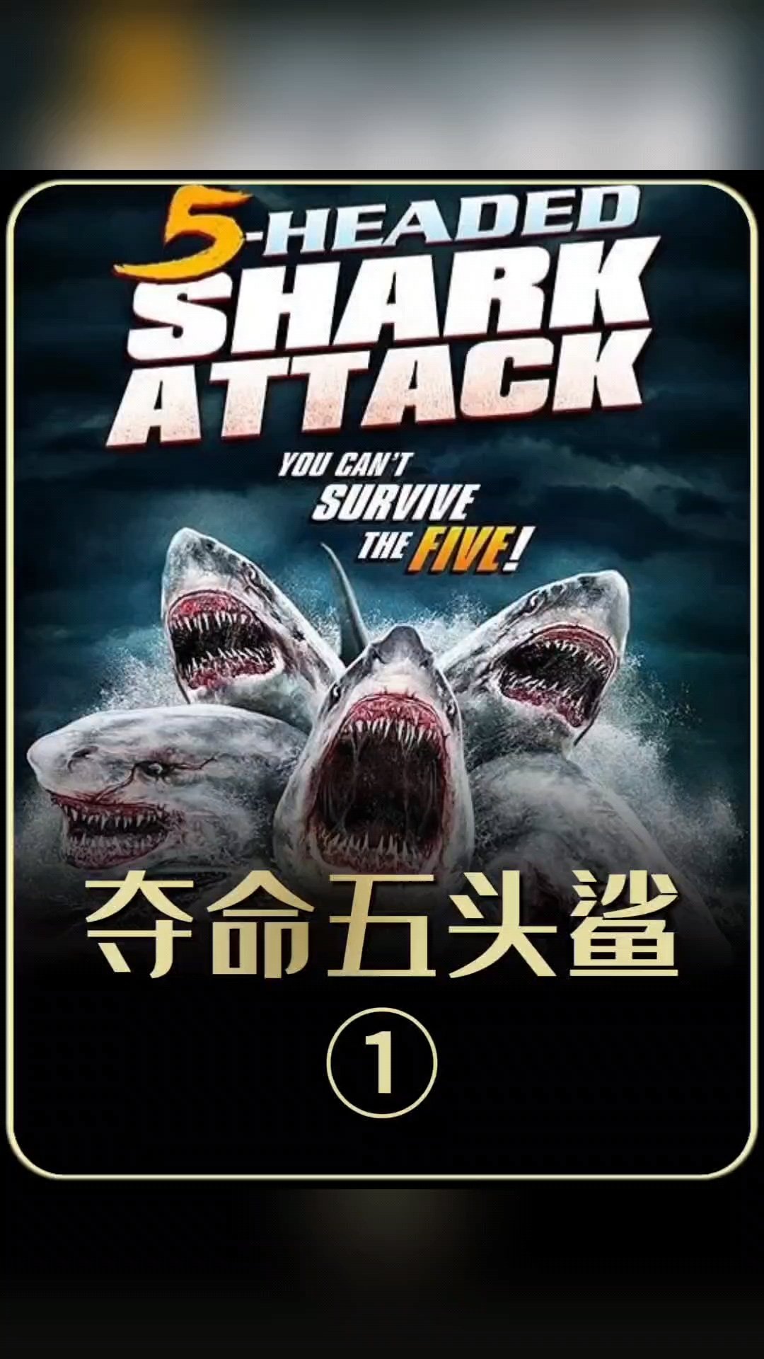 夺命五头鲨鱼1,称霸海洋