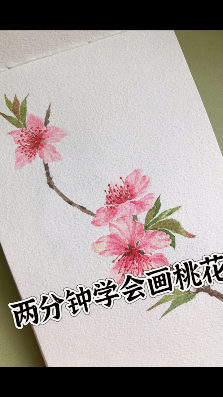 两分钟学会画桃花|超简单桃花画法来啦