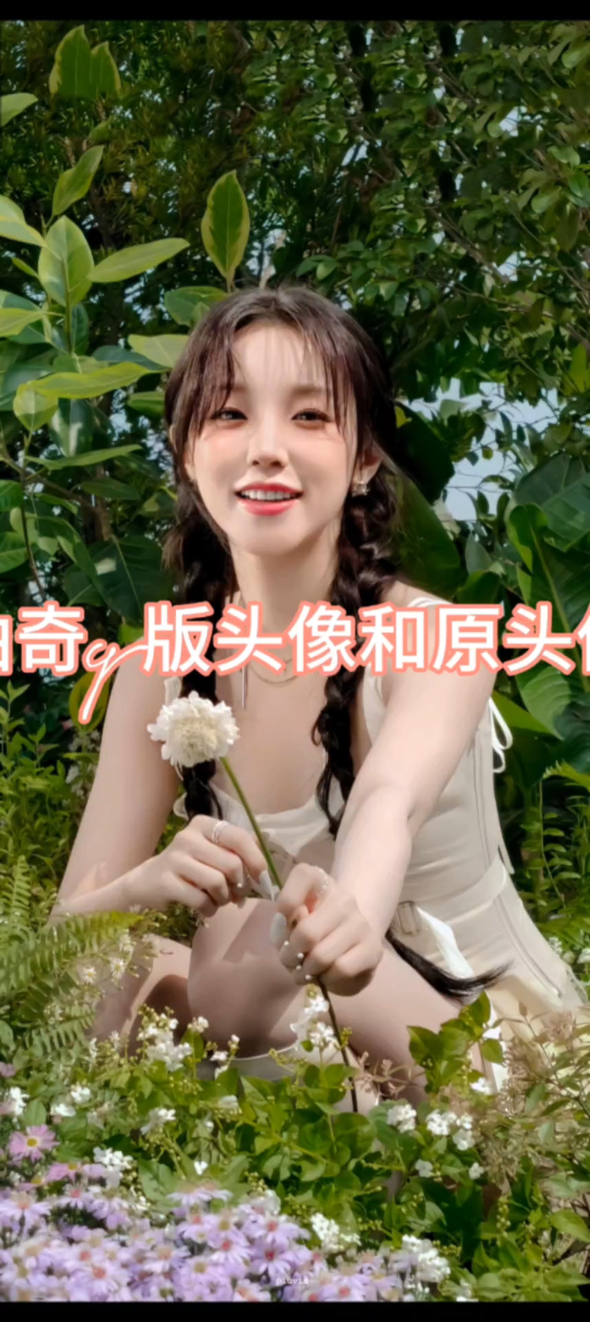 曲奇q版头像和原头像哪个更好看呢?有要可以私信给我哦!