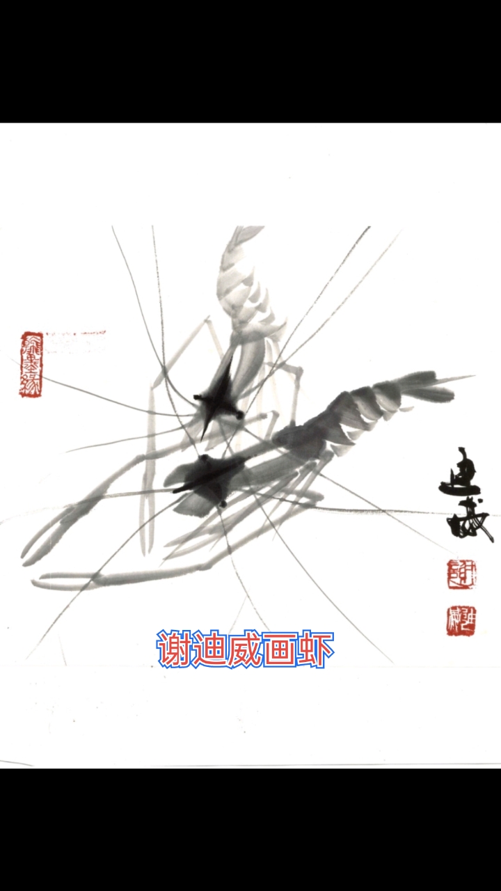 当代著名画家谢迪威画虾