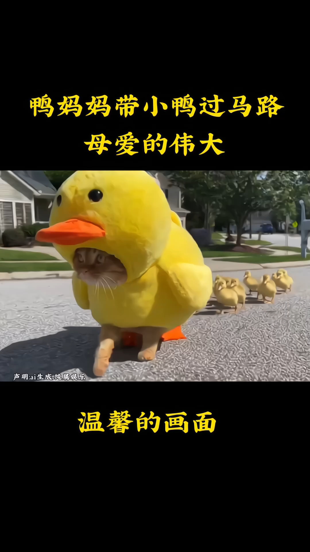 鸭妈妈带小鸭子过马路