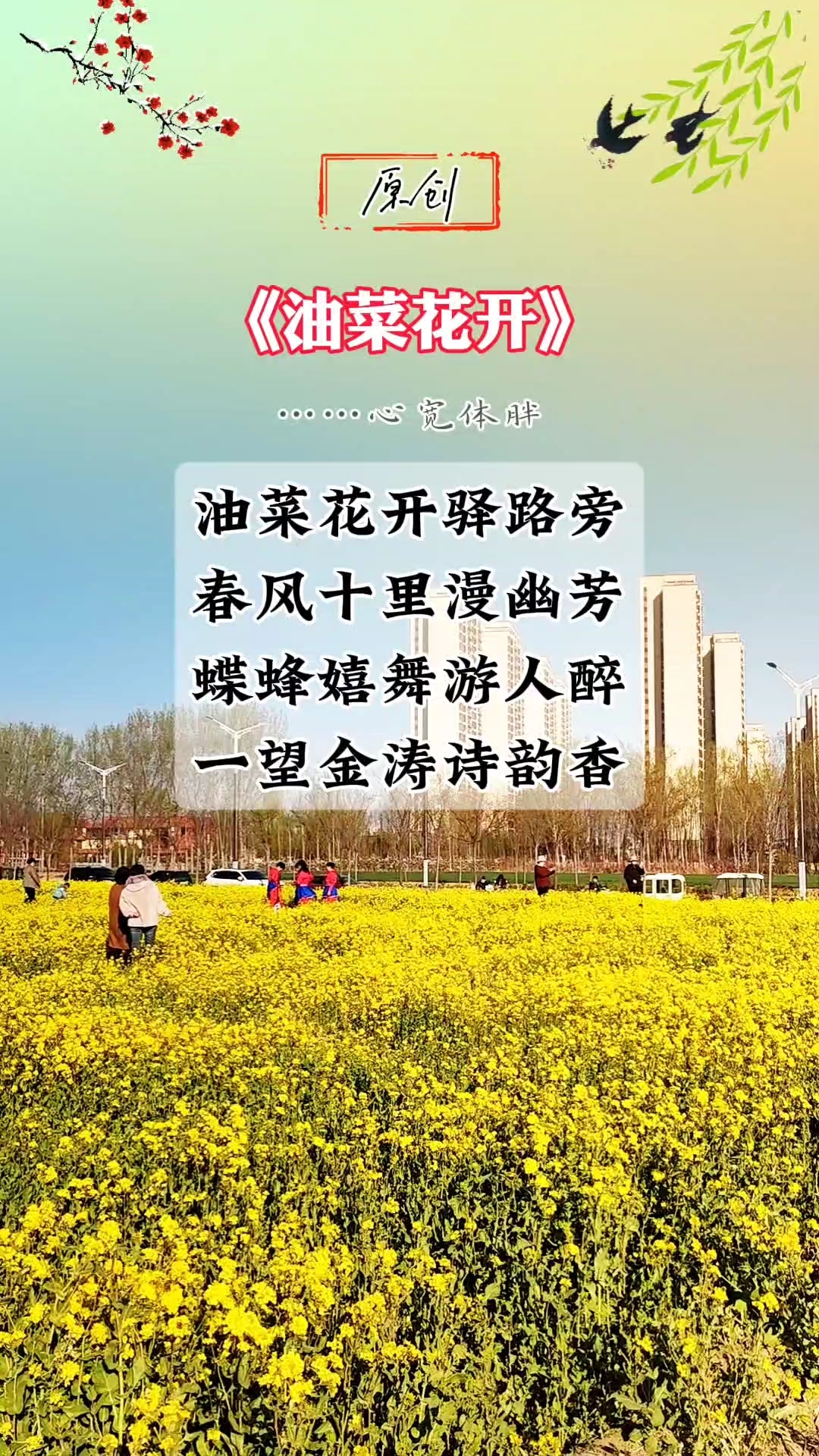 油菜花开