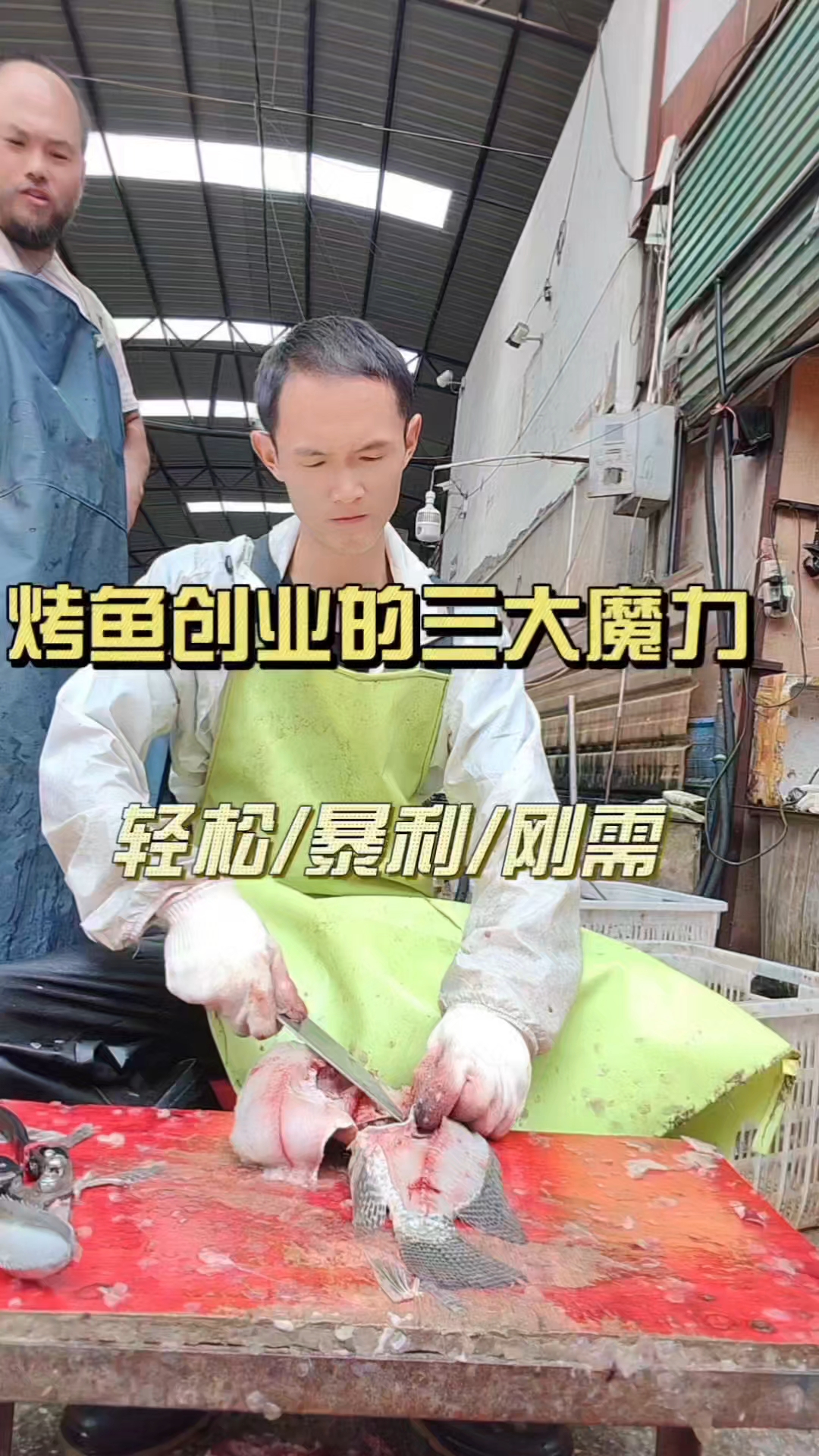 “你敢信吗？那些被烤鱼割了韭菜的人，明明摔得鼻青脸肿