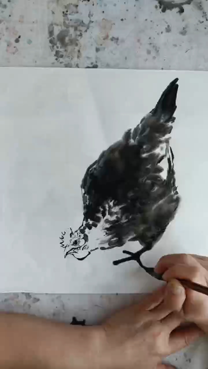 #彭凯画鸡# #彭凯国画#