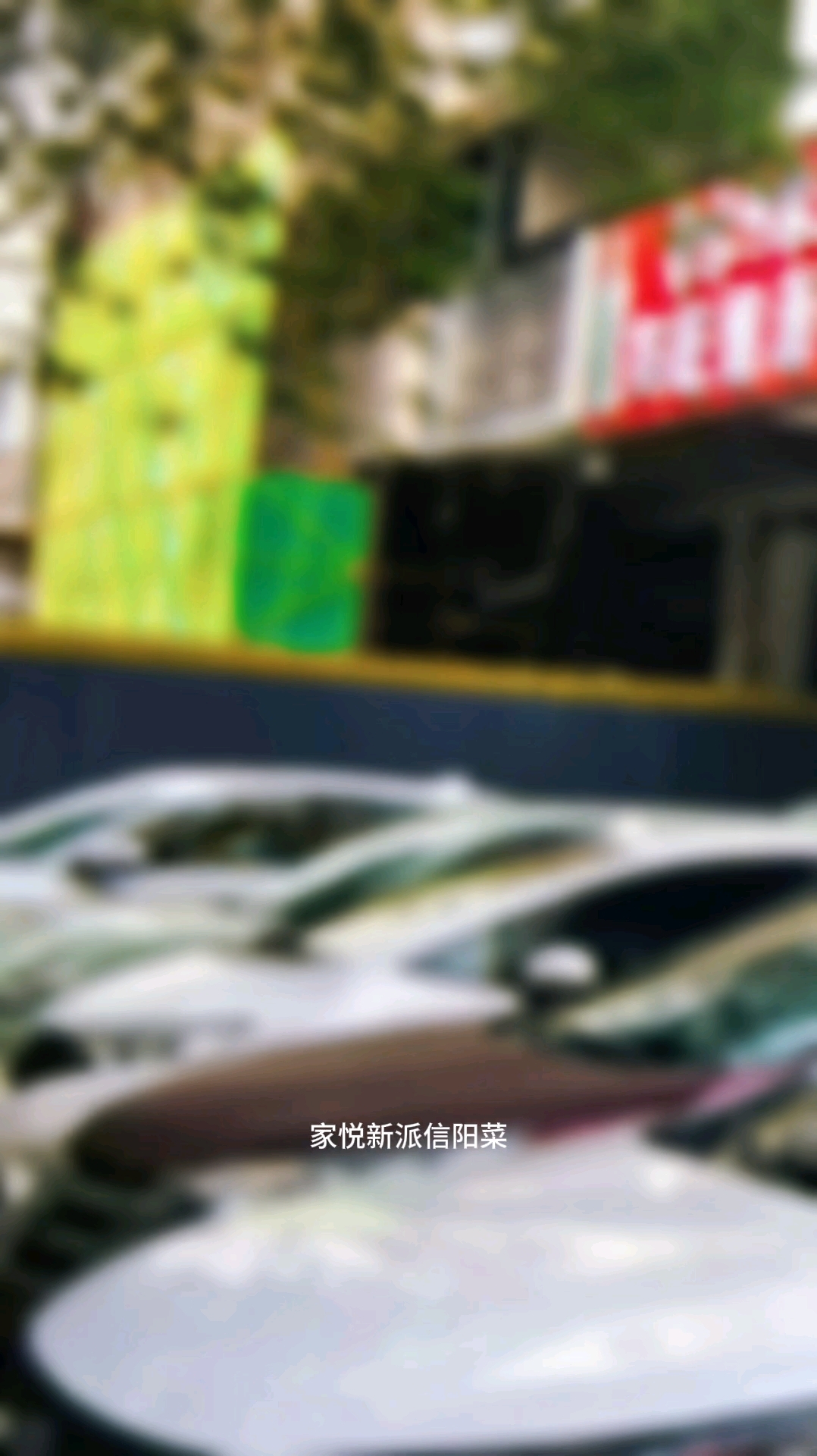 河南地方特色美食新鲜好食材道道现做