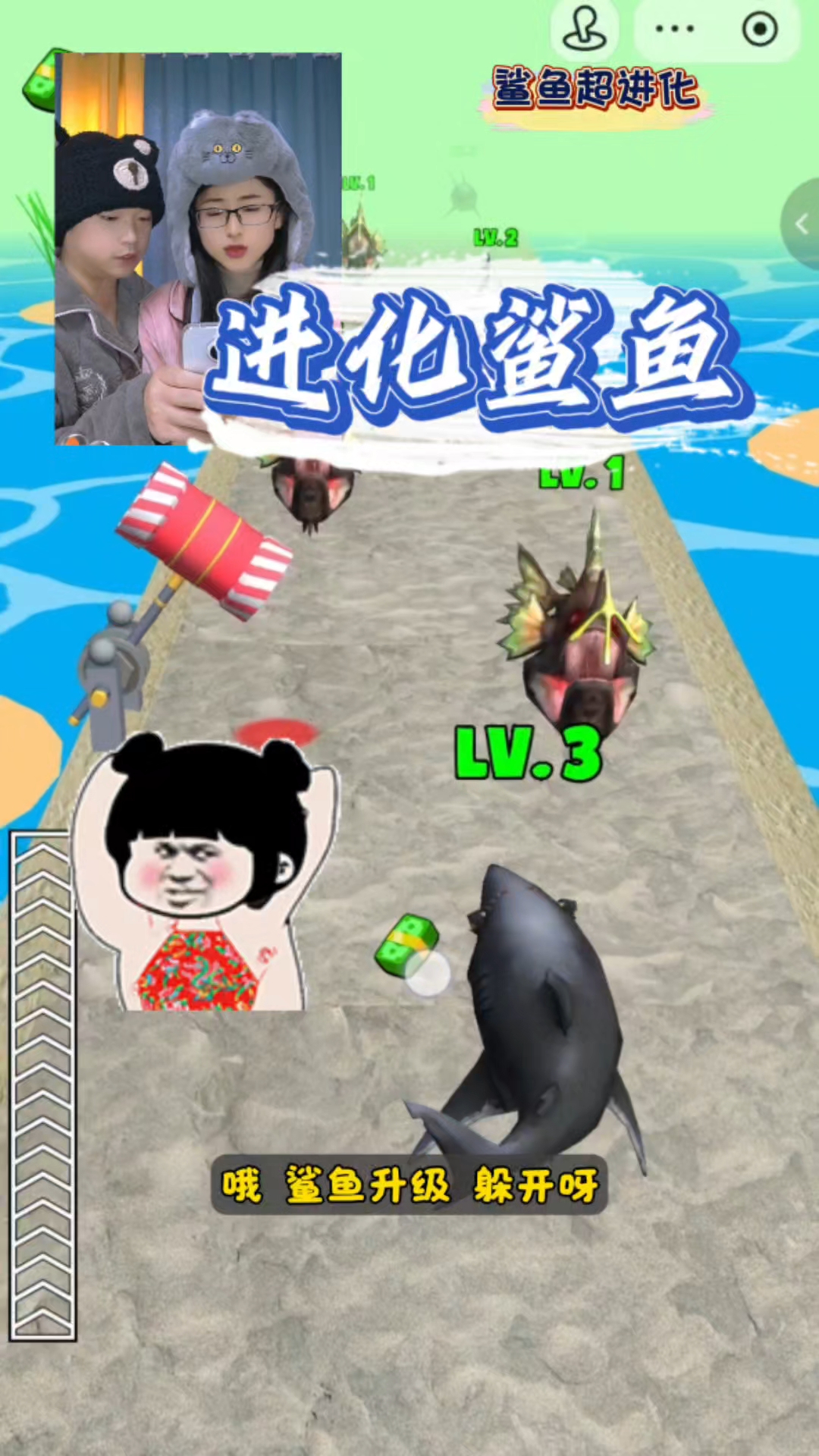 鲨鱼进化哦