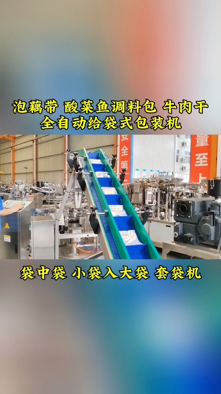 泡藕带给袋式包装机 酸菜鱼料包套外袋包装机 给袋式包装机厂家